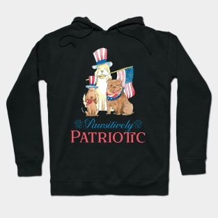 Pwsitively Patriotic, 4th july dogs lovers gift Hoodie